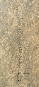 inscriptions2