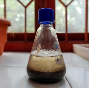 Density separation of microplastics from street dust samples in Pondicherry University.
